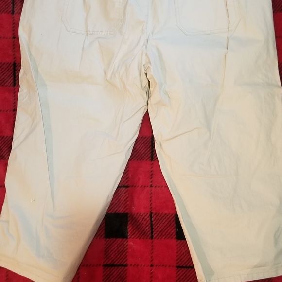 Reitman's Capris - Picture 2 of 4